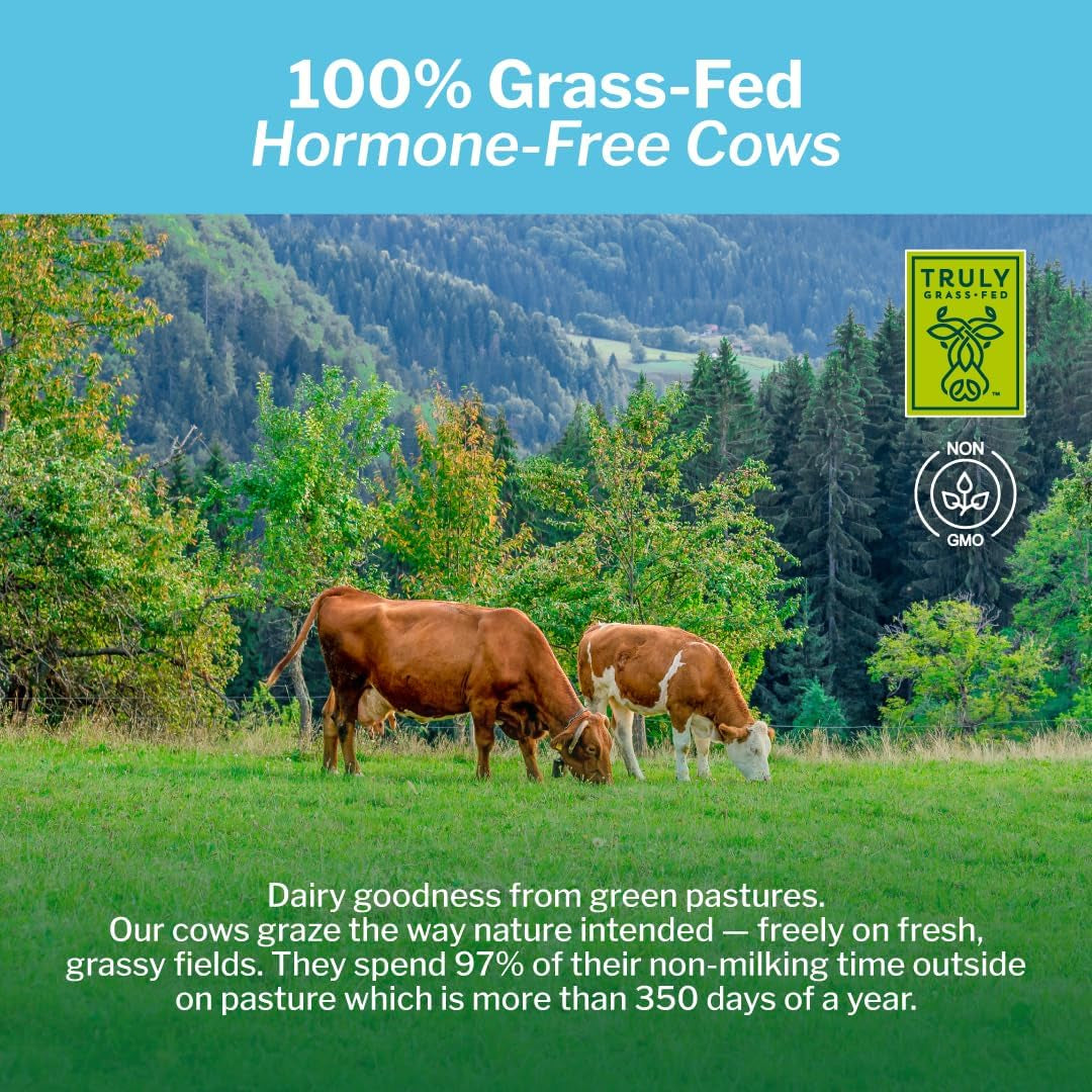 Grass Fed Whey Isolate Protein Powder - Unflavored 28G Protein Powder without Artificial Sweeteners, Hormone-Free Cows, Non GMO - 1Lb